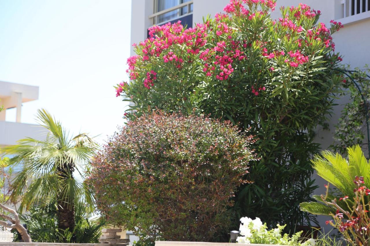 Rooftop Croisette/alexandre Iii Apartment *
